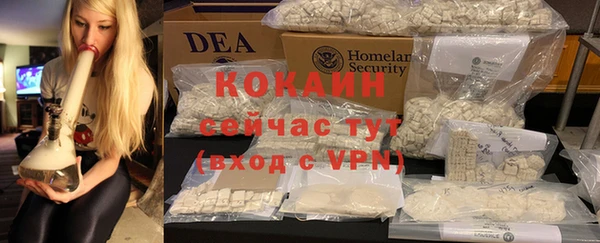 мдпв Няндома