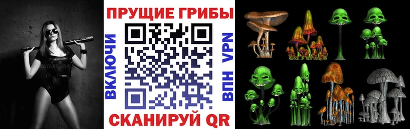 Псилоцибиновые грибы Cubensis даркнет сайт omg как зайти Бирюч