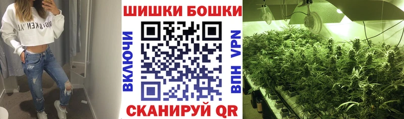 mega как войти Бирюч Канабис сатива